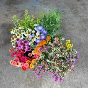 Brights