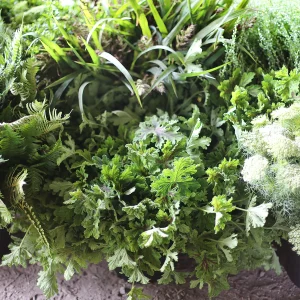 DIY Foliage